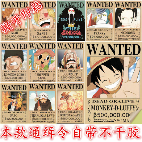 同志社大学会计文凭证书